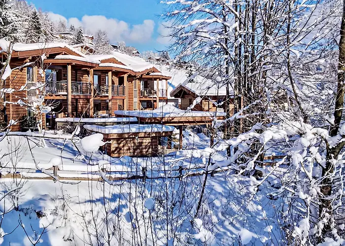 Appartamento Tirol Wildschoenau 3 By Interhome