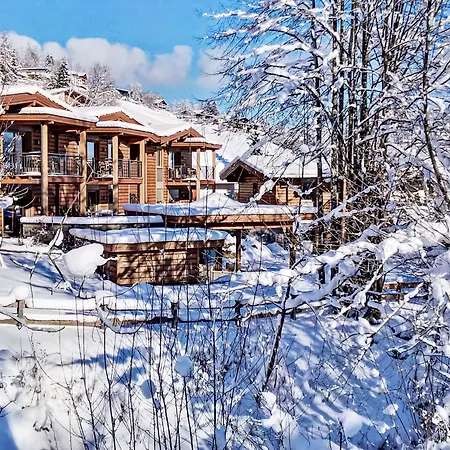 Διαμέρισμα Tirol Wildschoenau 3 By Interhome